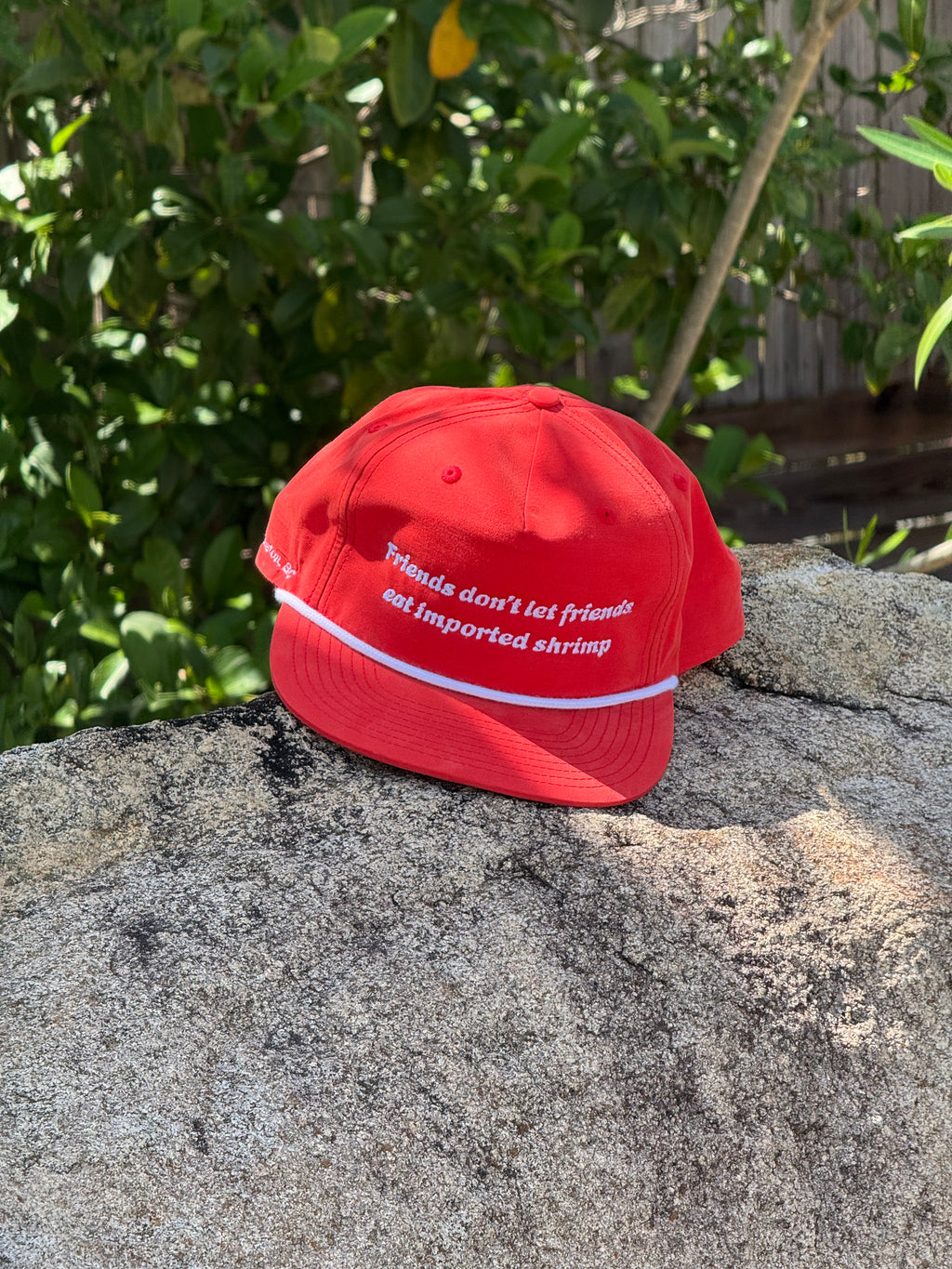 Friends Don’t Let Friends Hat