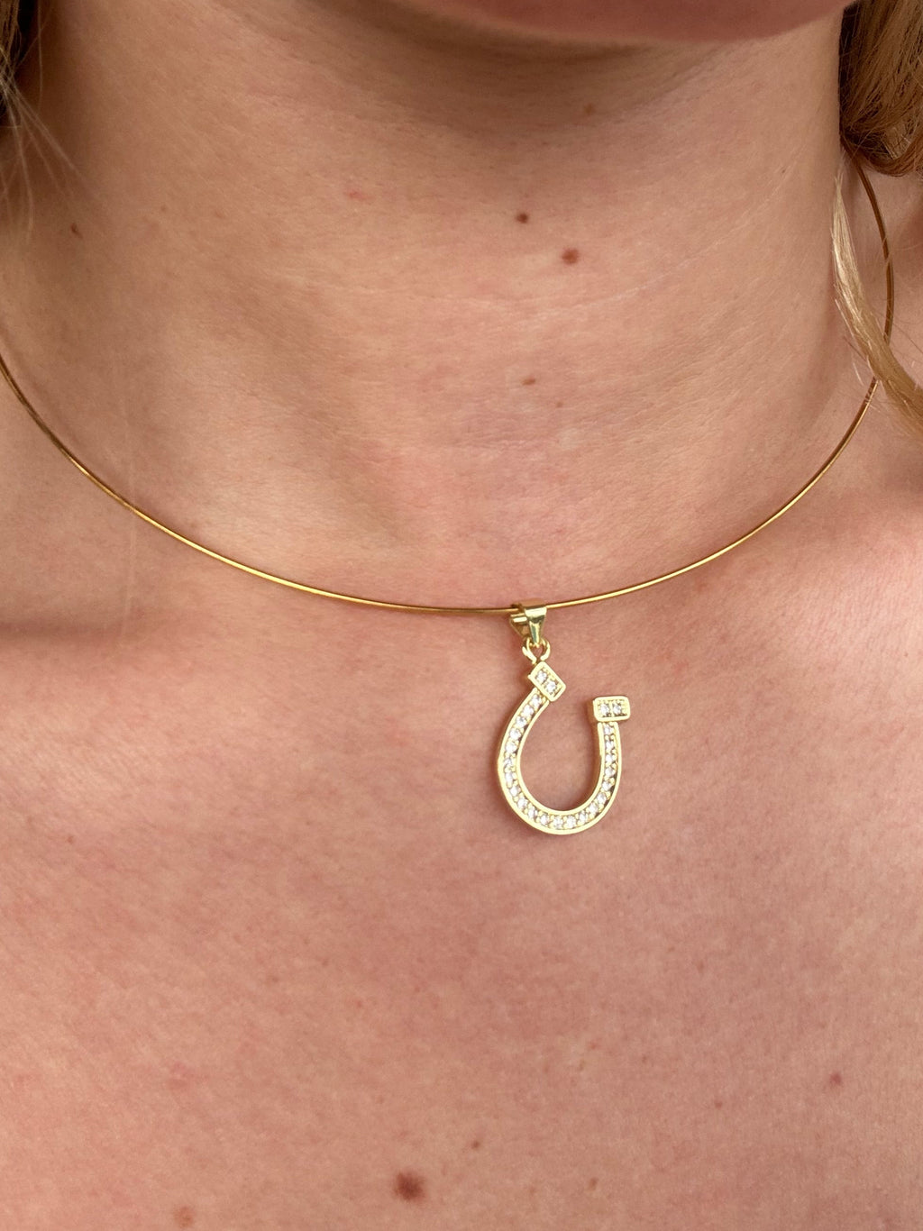 Lucky Charm Choker